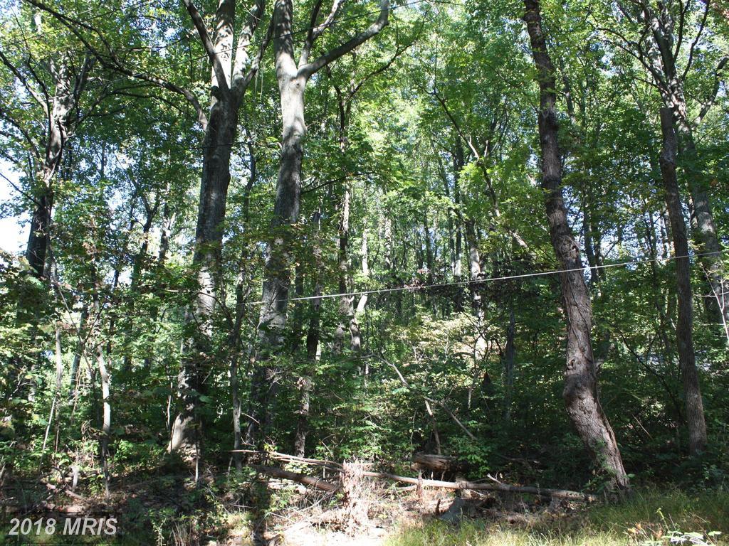 0 Gayle's Lane - Photo 1