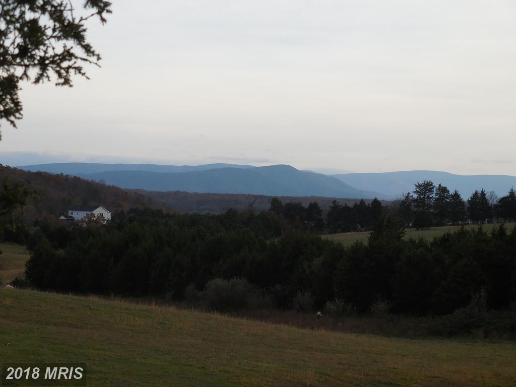 Long Meadow Road - Photo 1