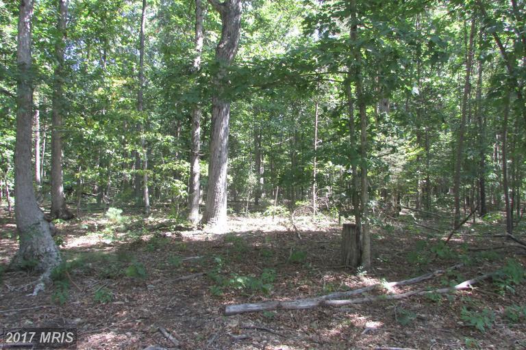 Fox Chase Drive - Photo 1