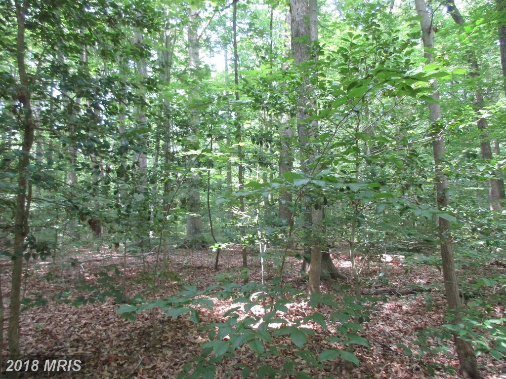1214 Whittington Drive - Photo 1