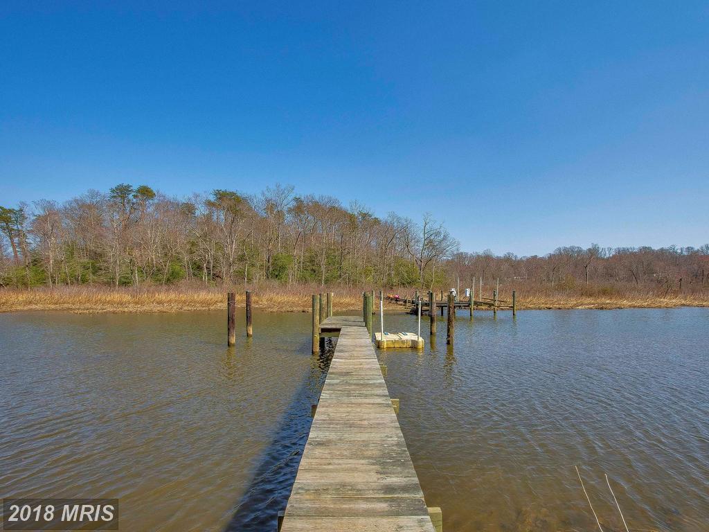 6549 Mallard Lane - Photo 1