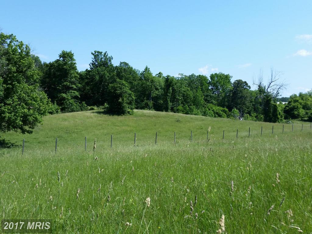 1708 Rossback Road - Photo 1