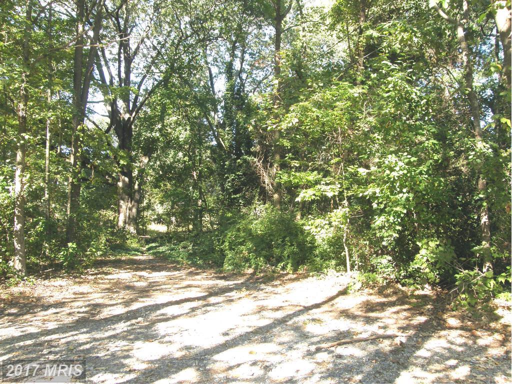 1220 Juniper Street - Photo 1