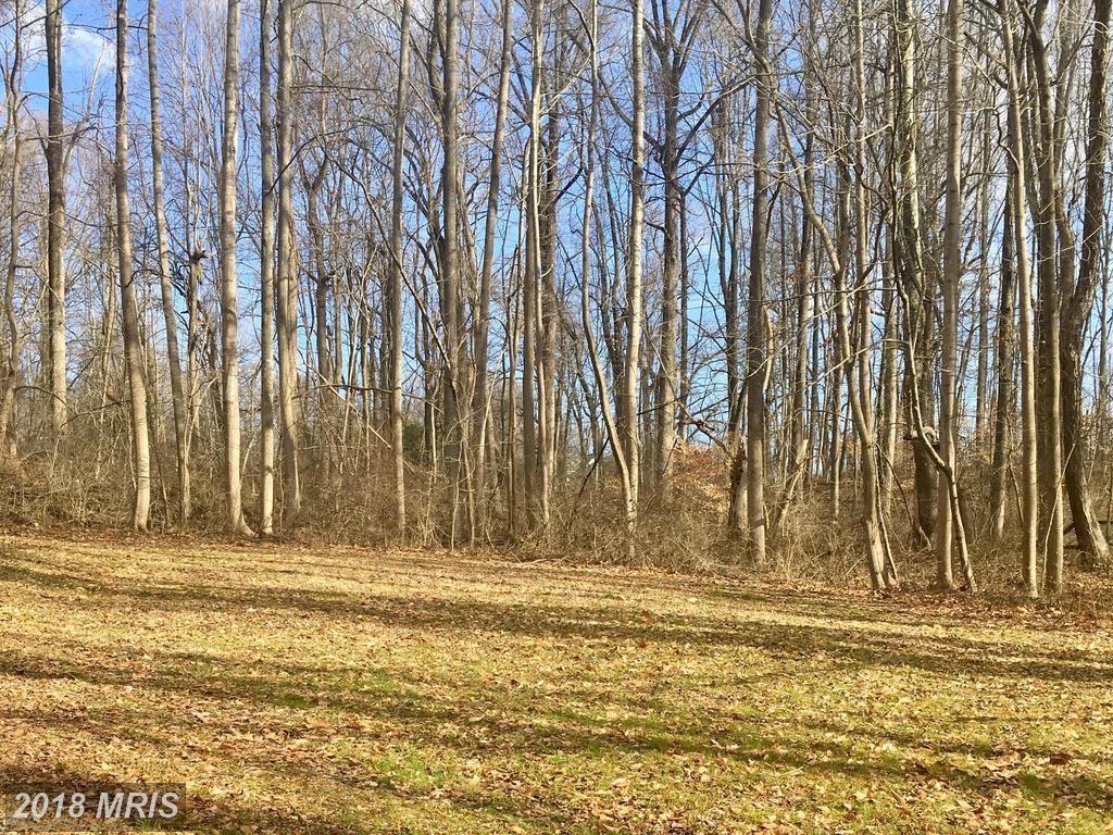 0 Johns Hopkins Road - Photo 1