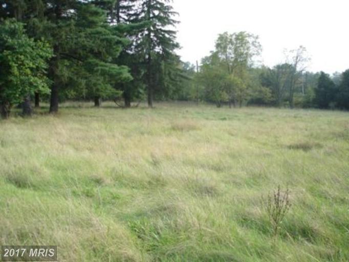 701 York Road - Photo 1