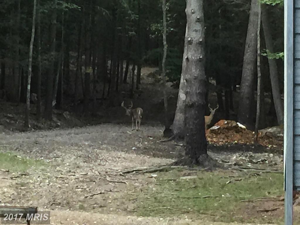 Chambersburg Road - Photo 1