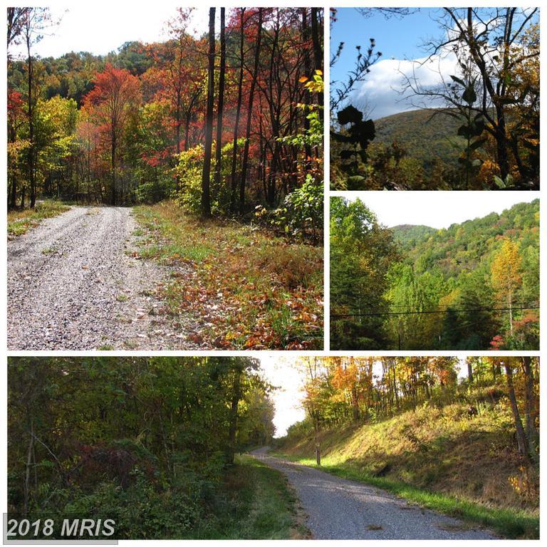 252-LOT #1 Doe Ridge Lane - Photo 1