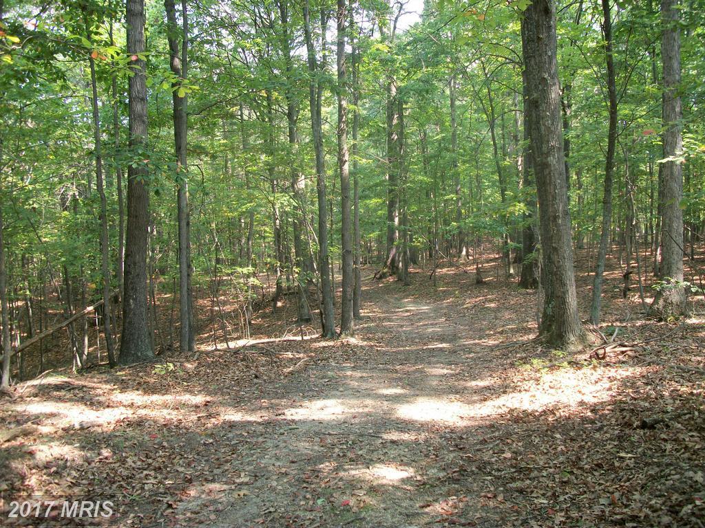 Walnut Ridge Road - Photo 1