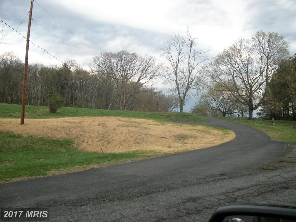 Mckenzie Lane - Photo 1