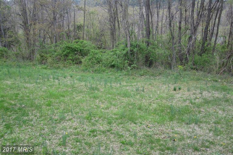 157 Winchester Road - Photo 1