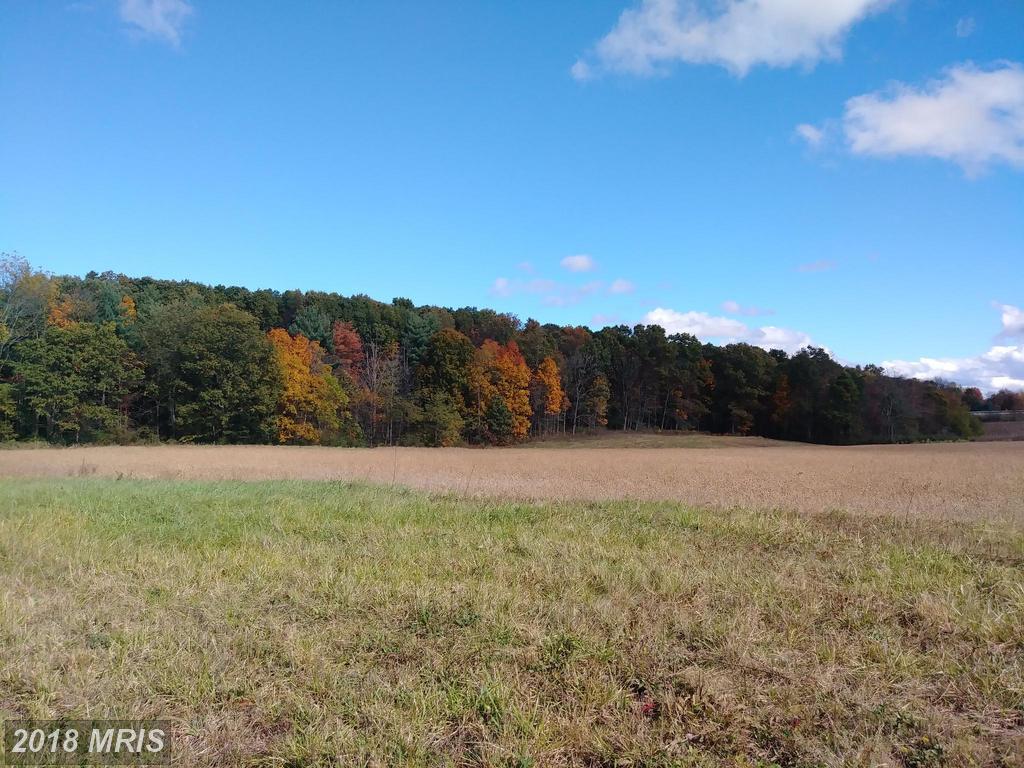Open Plains Road - Photo 1