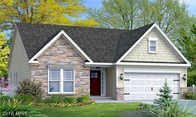7900 Shirley Ridge Court - Photo 1