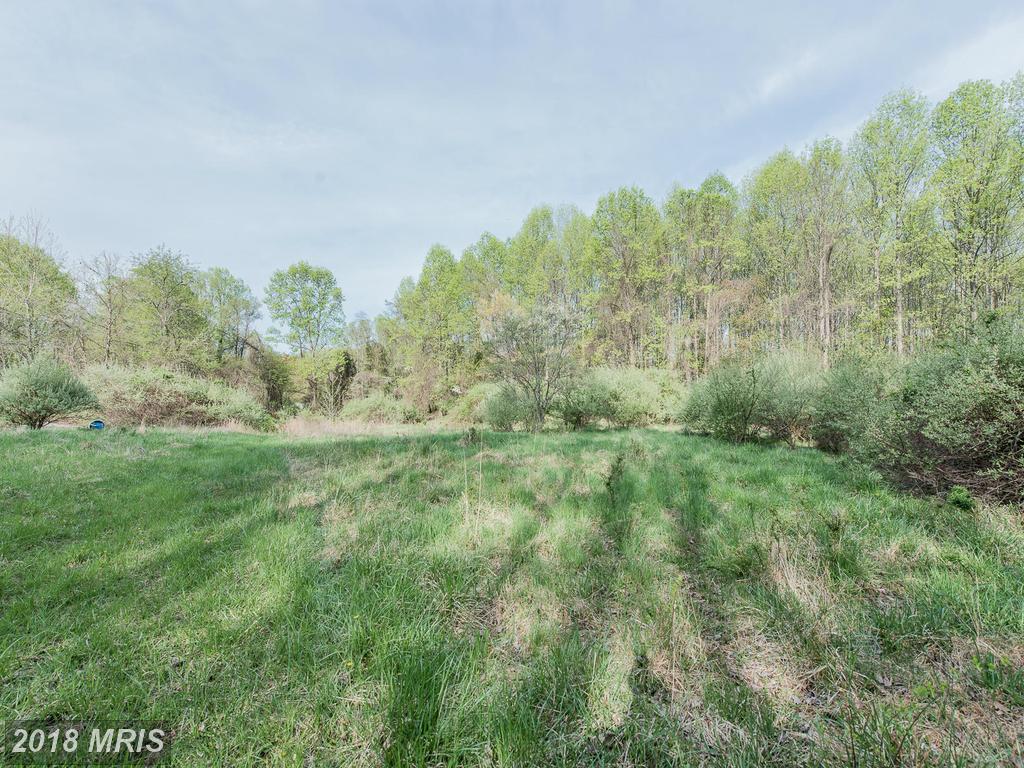 PARCEL 41 Wrights Mill Road - Photo 1