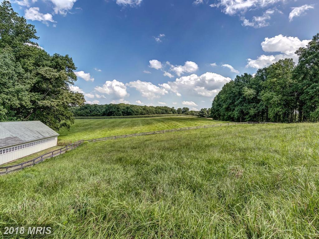 13601 Mantua Mill Road - Photo 1