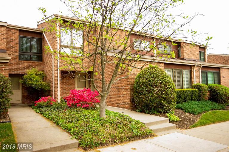 12 Stirrup Court - Photo 1
