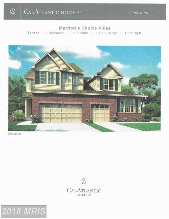 3702 Peace Chance Drive - Photo 1