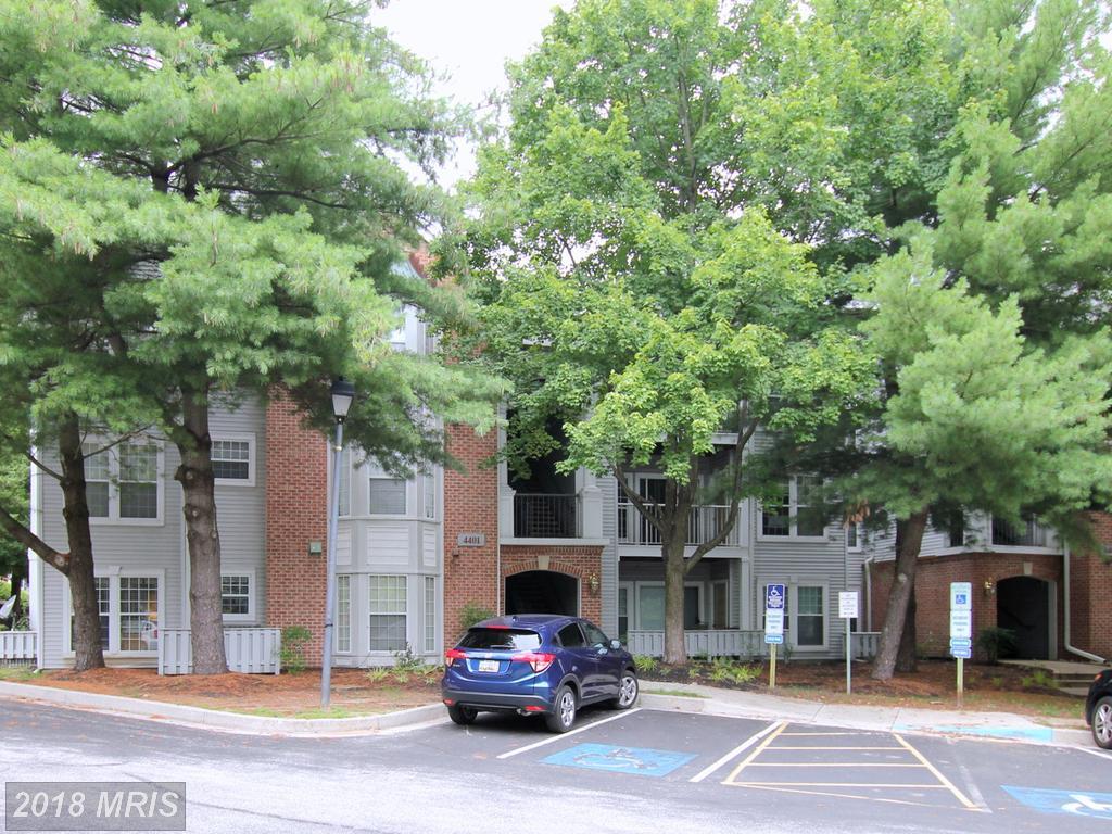4401 Silverbrook Lane - Photo 1