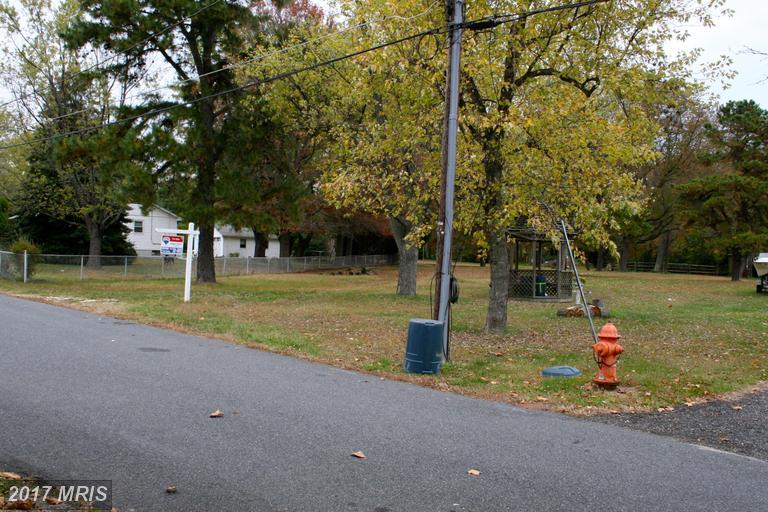 Beechwood Avenue - Photo 1