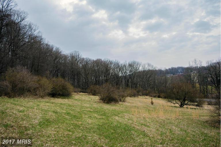 2300 Paper Mill Road - Photo 1