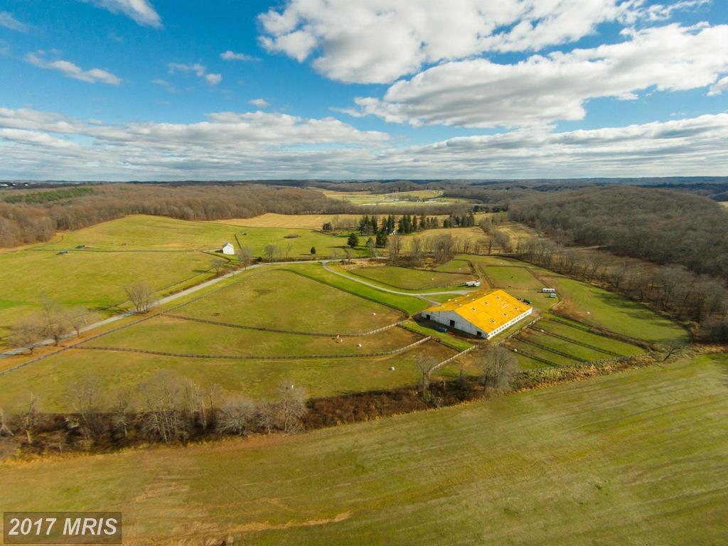 16300 Cedar Grove Road - Photo 1