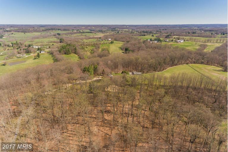 13705 Mantua Mill Road - Photo 1