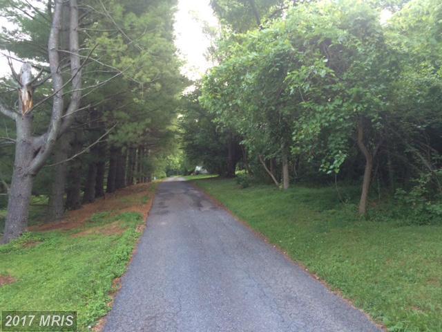 12142 Harford Road - Photo 1