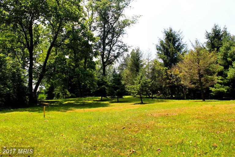 12004 Jerusalem Road - Photo 1