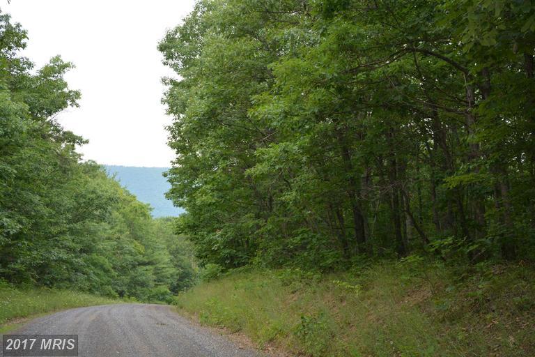 Polish Mountain Rd - Photo 1