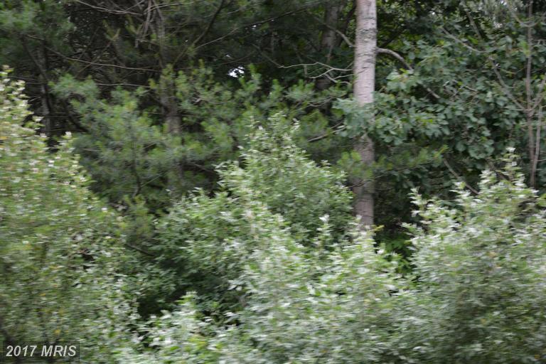 LOT #2 Robinsonville Road - Photo 1