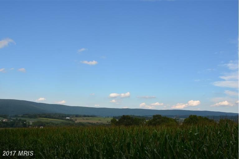 Red Oak Road - Photo 1