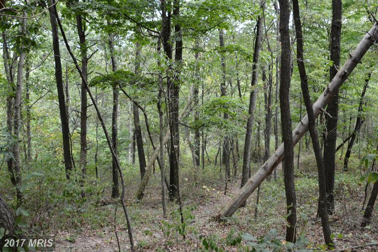 LOT 14 Pine Ridge Road - Photo 1