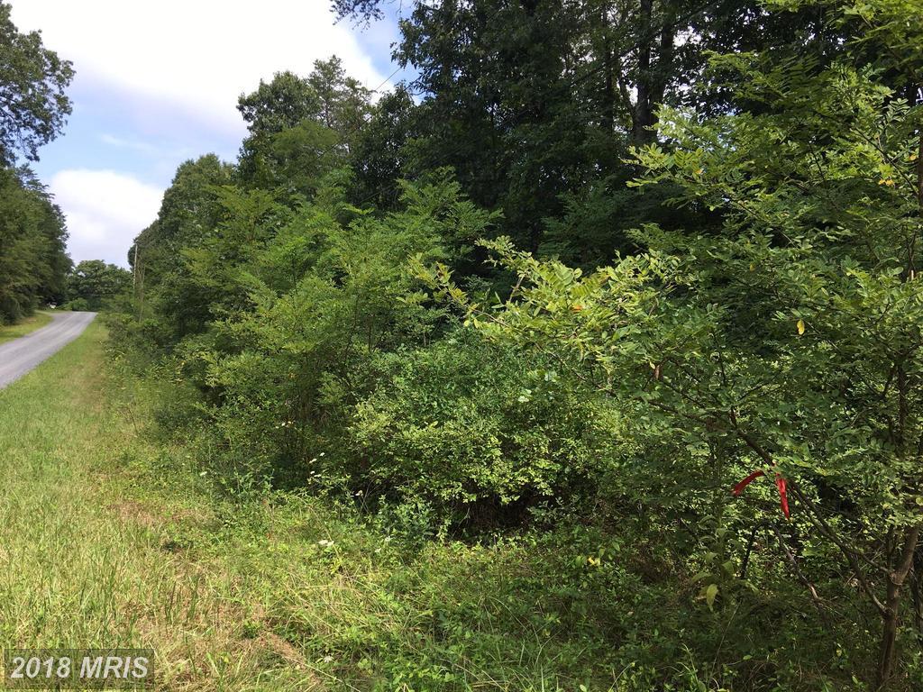 Gun Powder Lane - Photo 1