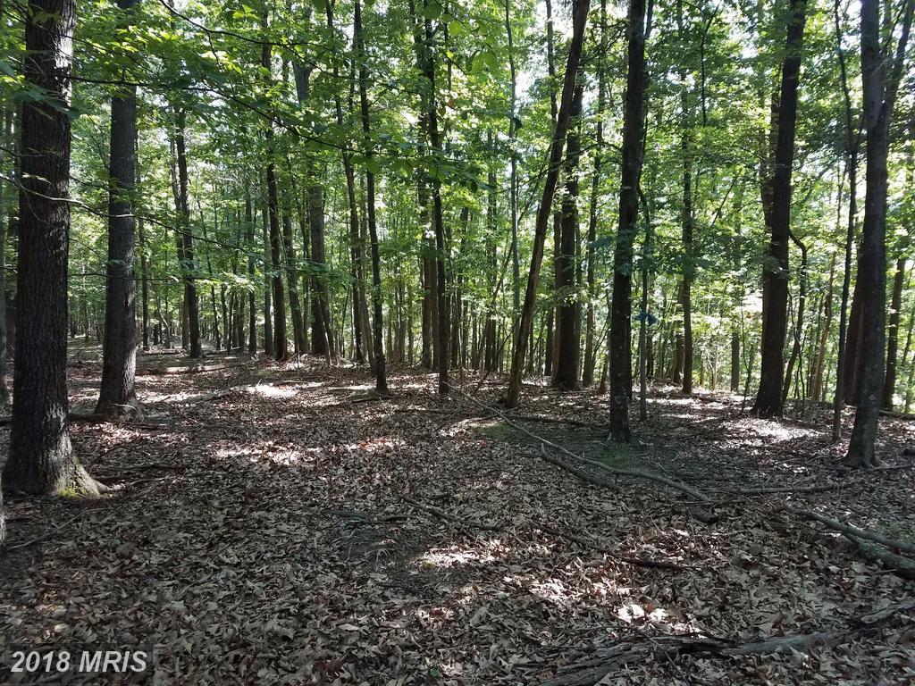 Lot 21 Otter Creek Drive - Photo 1