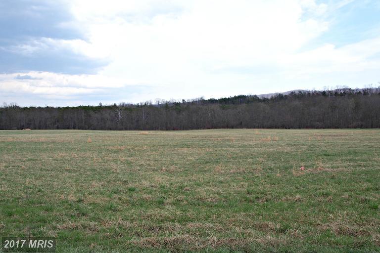 Puffenburger Lane - Photo 1