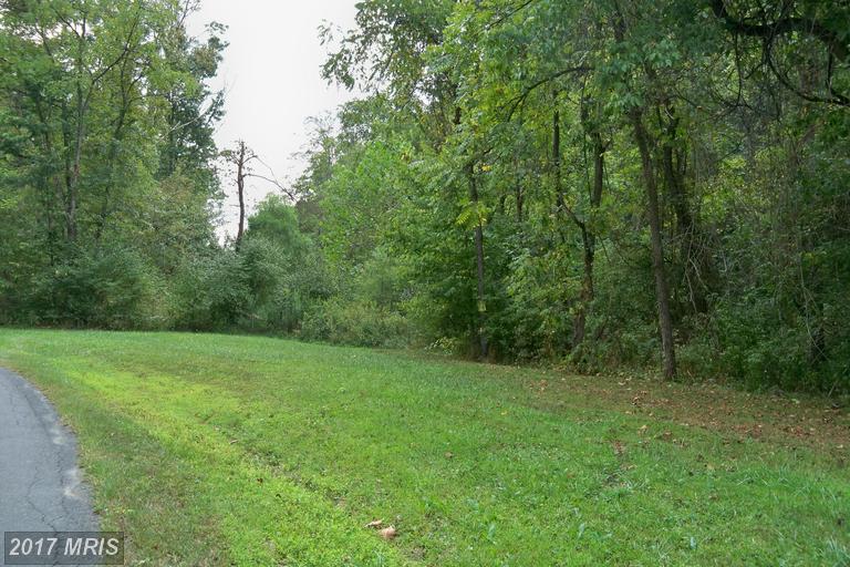 Three Run Road - Photo 1