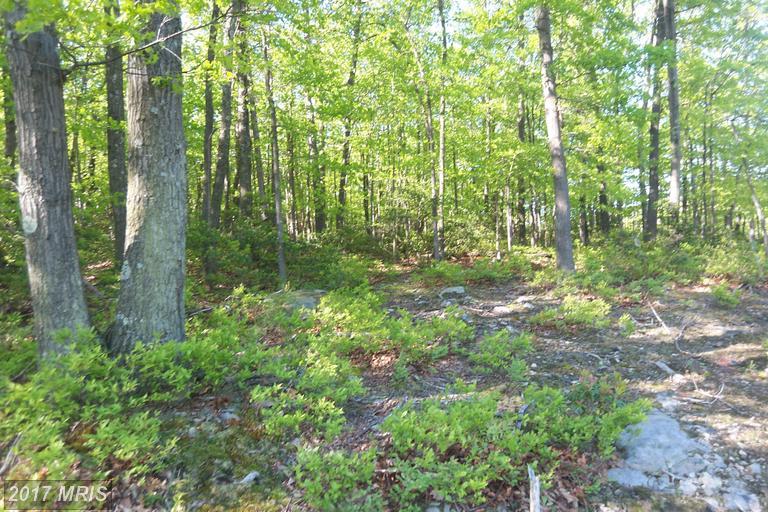 Toboggan Hill Trail - Photo 1