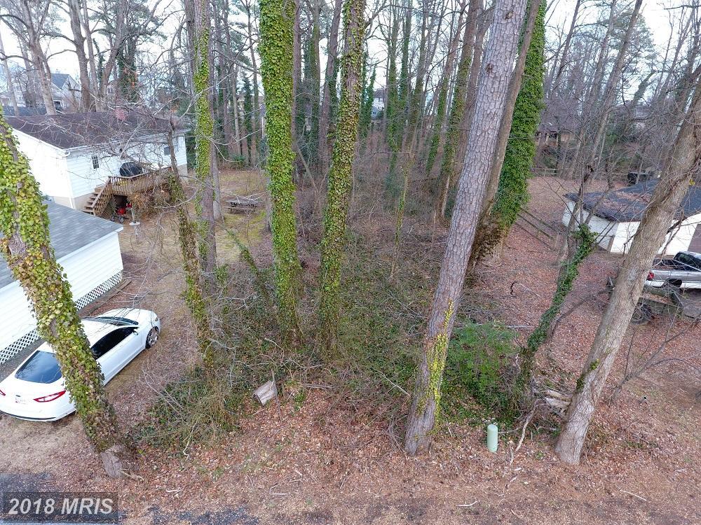 3910 Dogwood Road - Photo 1