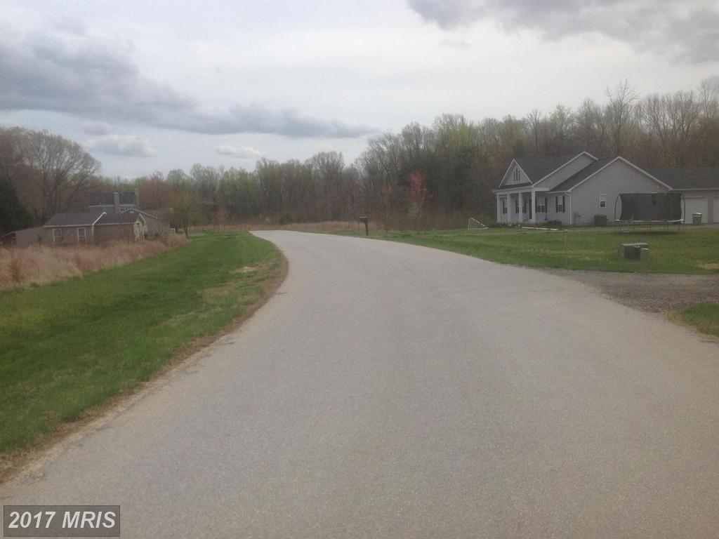 3155 Leola Helen Way - Photo 1
