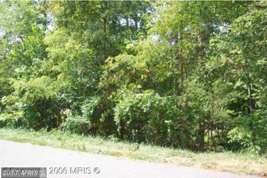 8515 Chesley Drive - Photo 1