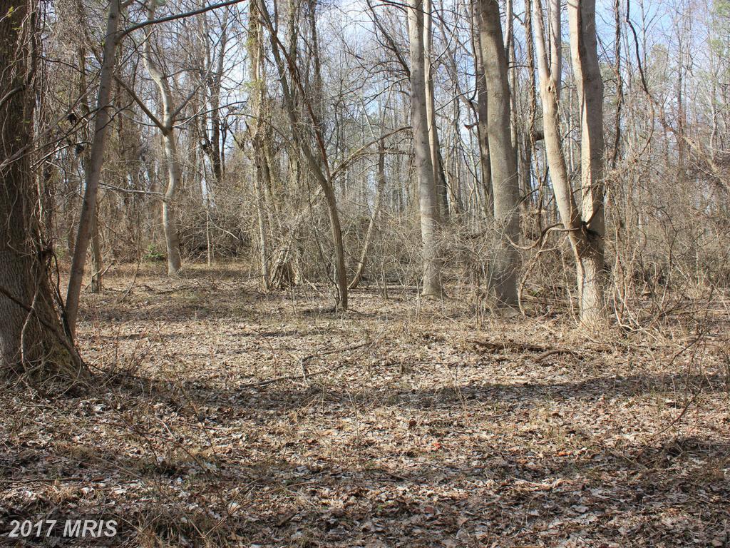 4610 Siss Place - Photo 1