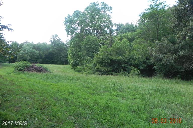 10350 Ward Road - Photo 1
