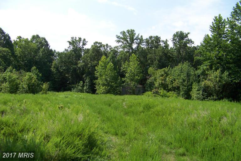 349 Whitetail Drive - Photo 1