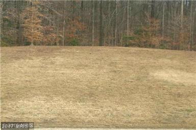 6245 Federal Oak Drive - Photo 1