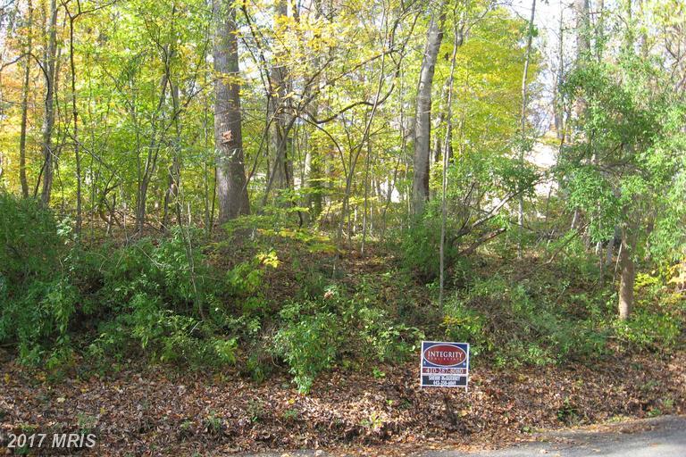 Lot 126 And Lot 127 Codjus Drive - Photo 1