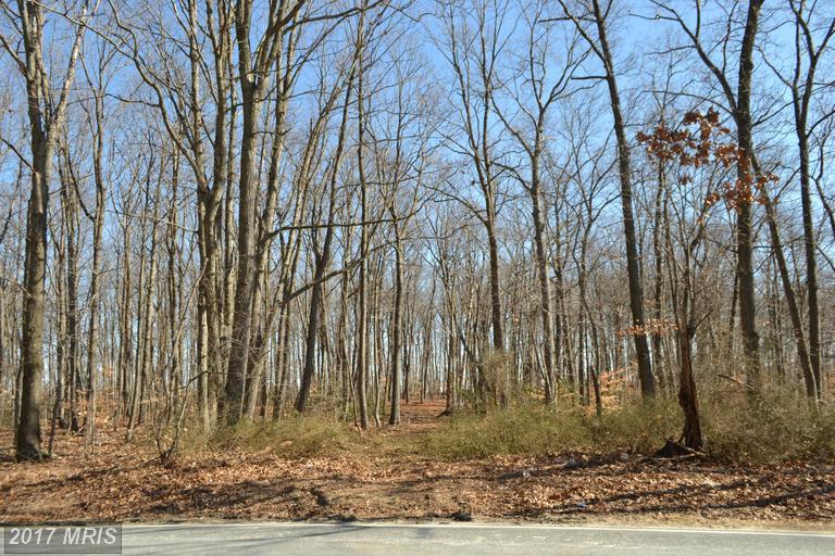 391 Principio Road - Photo 1