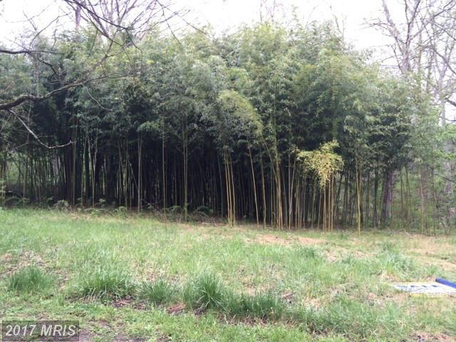 305 Slicers Mill Road - Photo 1