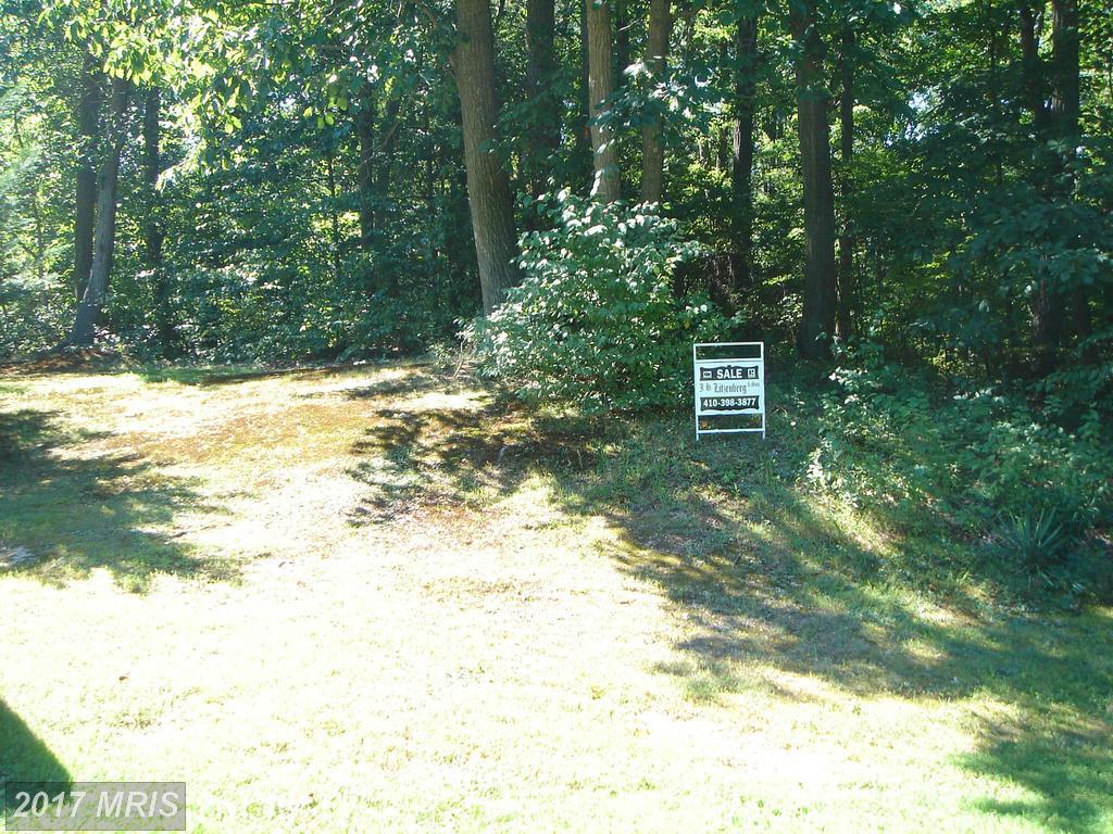 Principio Road - Photo 1