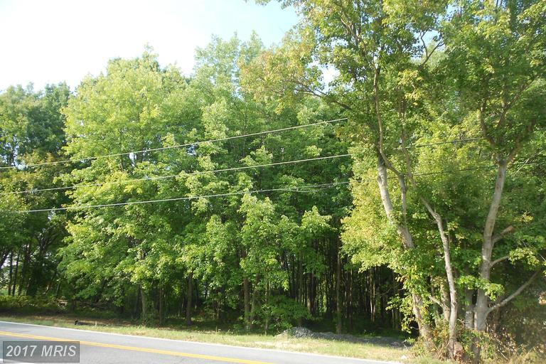 Bard Cameron Road - Photo 1