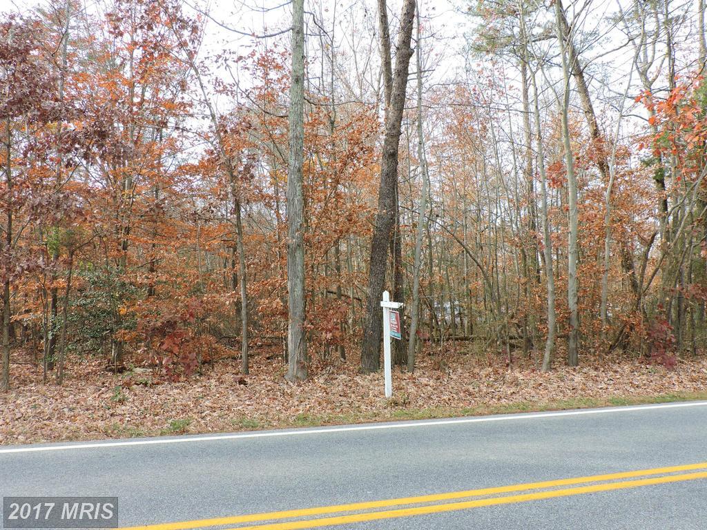 0 Bumpy Oak Road - Photo 1