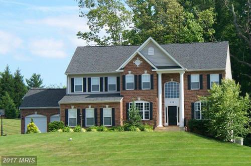 7358 Scarlet Sage Court - Photo 1